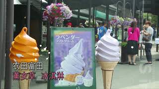 [KURUKURUBUS] HOKKAIDO FARM TOMITA MARKET - CHN