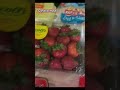 Costco Haul #wellwithty #lifestyle #lifestylevlogger #costco #groceryshopping #groceryhaul