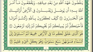 ناصر القطامي سورة البقرة كاملة مكتوبة جودة عالية