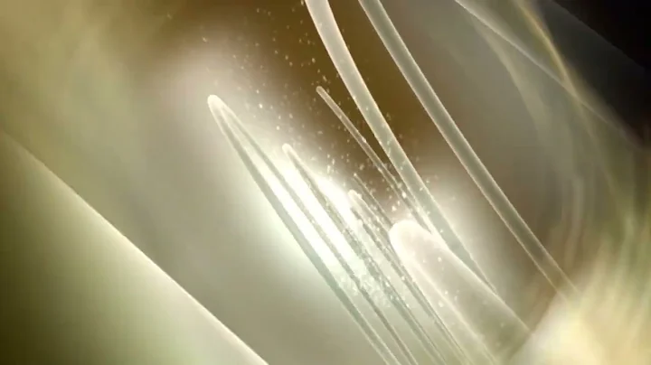 250 JB HD FREEFOOTAGE   CREATIVE COMMONS