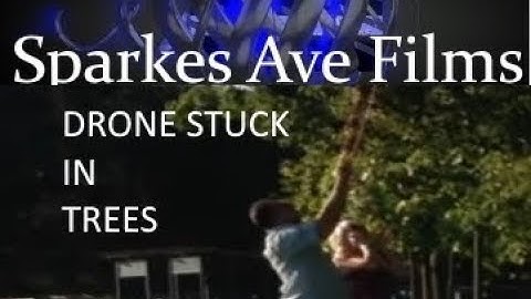 Drone gets stuck in a tree