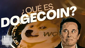 ¿Cuál es la moneda favorita de Elon Musk?