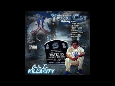 Yung Cat (Fat Tone Jr) -You Hear Me (Official Audio) @YungCatBgm