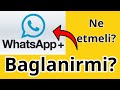 Whatsappplus whatsapp pluslar baglanirmine etmeliyik resmi whatsapp yukle yazirsa