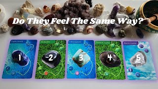 Do They Feel The Same Way? 💫🔮😅 For Platonic AND Romantic Connections 💞 Pick A Card 🃏 Tarot Reading