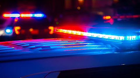 Indiana woman dead, child critically injured after tree falls on car