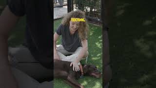 Как поднять тестостерон без таблеток: 7 шагов