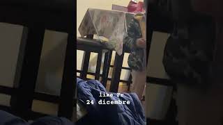 Hispanics on 24 day of Christmas💀 #mexican #christmas #navidad #memes #merrychristmas