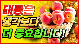 우리 아이의 첫 이력서가 되는 태몽에 대해 자세히 알아보세요 우리 아이 평생 성격과 기질을 알아볼 수 있습니다