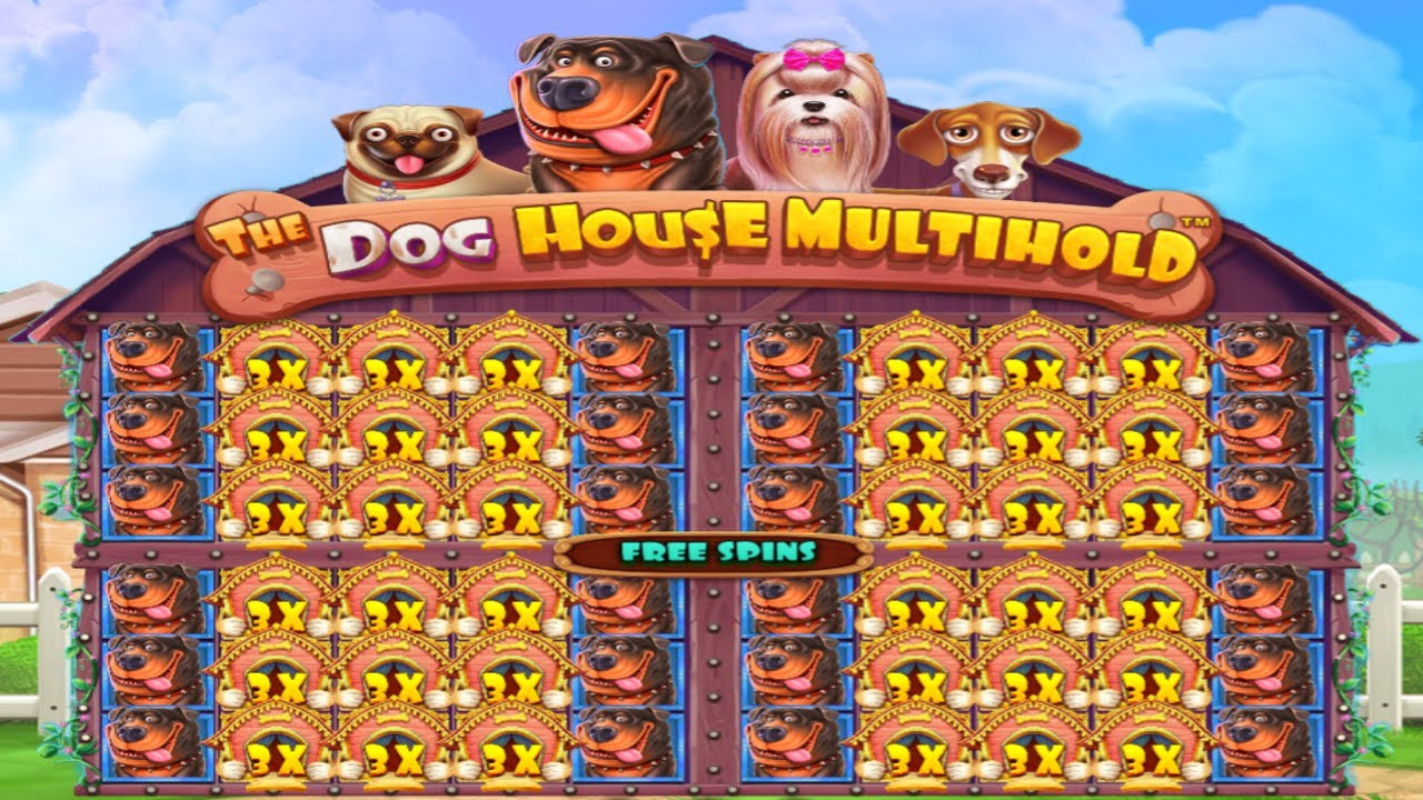THE DOG HOUSE MULTIHOLD BIG WIN - BONUS BUY ONLINE CASINO - OPENED 4 WINDOWS