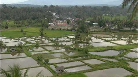 Rudy Wairata - Rayuan Pulau Kelapa
