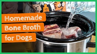 Homemade bone broth for dogs