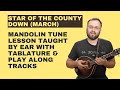 Star Of The County Down: March (With Tabs & Play Along Tracks) - Mandolin Lesson