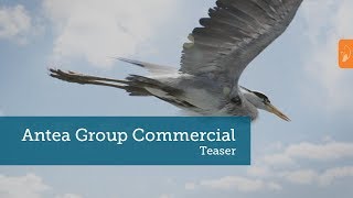 Antea Group Commercial Teaser