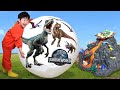 Dinosaur Giant Surprise Egg Opening! Plenty of Jurassic World Dinosaur Toys with Yoochan Toys