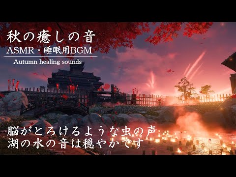 秋の癒しの音【ASMR/睡眠用BGM】秋の夕焼けは、穏やかな夜の準備をします/脳がとろけるような虫の声,湖の水の音は穏やかです Healing sounds of autumn