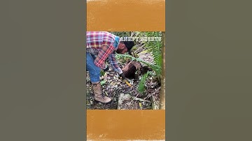 Phát Hiện Két Sắt Toàn Đồ Quý Trong Nhà Hoang #Shorts