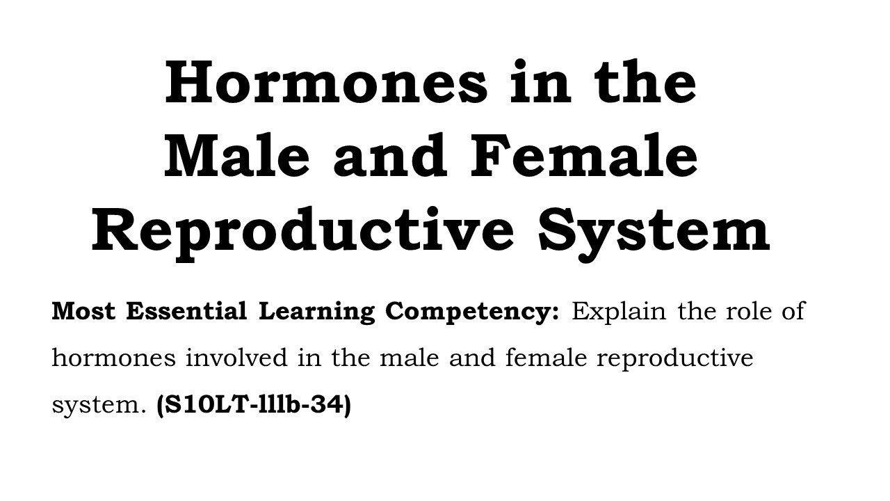 Hormones In The Male And Female Reproductive System Youtube