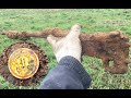 Коп по войне WW2. Немецкий хутор. Metal detecting 2020. XP ORX. Рыболов копатель