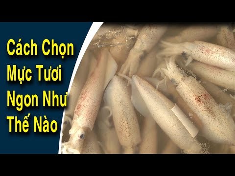 CÁCH CHỌN MỰC TƯƠI NGON NHƯ THẾ NÀO?