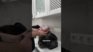 27 день из жизни предпринимателя