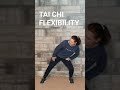 Tai Chi Exercises #taichi #flexibility #improveflexibility #seniorsflexibility