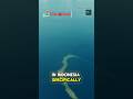 Proof that Human Evolution is Real #trending