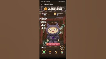 memefi 17 jun secret code | memefi today secret code