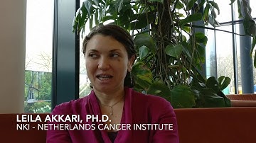 Transnetyx Automated Genotyping - Researcher Testimonial