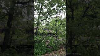 Another GP40MC passes by Concord Plaza in Concord, MA (again)