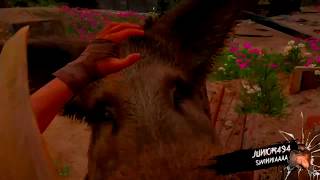 Far Cry New Dawn