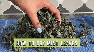 How To Dry Mint Leaves | Simplest Way To Dry Mint