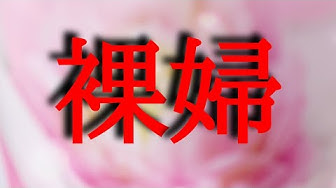 読み聞かせ大人向け Youtube