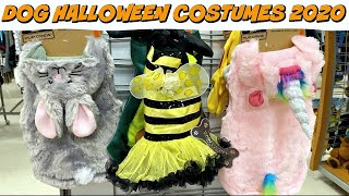 Halloween Costumes and Toys for Dogs! Halloween 2020 by Feenix the Funny Singing Dog 146 views 3 years ago 3 minutes, 48 seconds