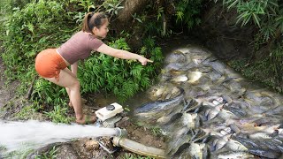 FULL VIDEO:Harvesting Fish - cast net fishing video to catch many big fish,phung mai anh