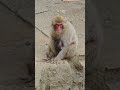 6月19日に生まれた赤ちゃんとお母さんのニンジンちゃん