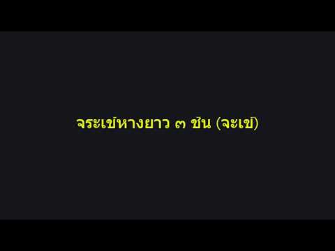 ตับต้นเพลงฉิ่ง ๓ ชั้น เพลง จระเข้หางยาว ๓ ชั้น จะเข้