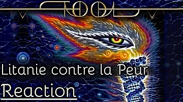 Tool - Litanie Contre la Peur | Reaction (Reakcija) /with English subtitles