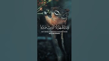 تلاوة عطرة من سورة الاحقاف بصوت القارئ اسلام صبحي #quran #قرآن #تلاوة_خاشعة #أذكار