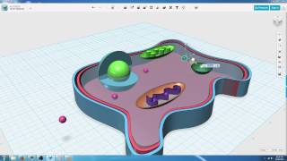 Biology 1 1 1 Eukaryotic Cell Organelle Structures part 10