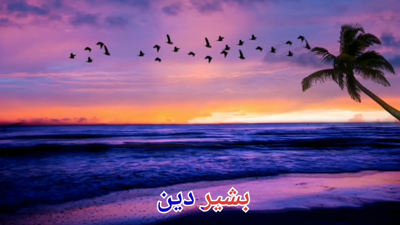 المقرئ بشير دين من سورة النمل