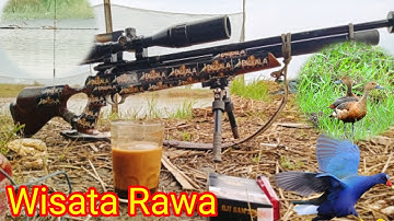 Berburu Belibis dan Mandar Biru
