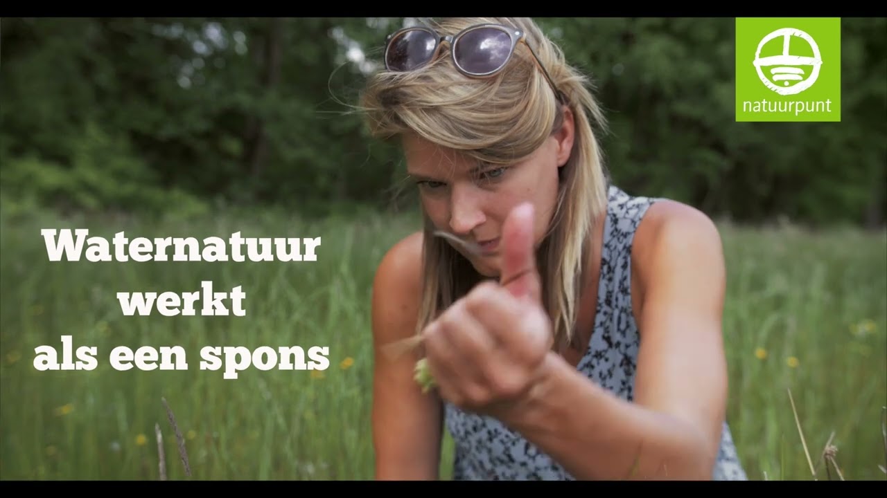 Leer alles over waternatuur.