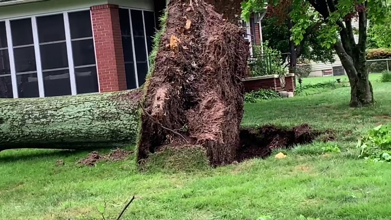 06032020 Doylestown PA Downed trees and Power Outages after Severe Storms YouTube