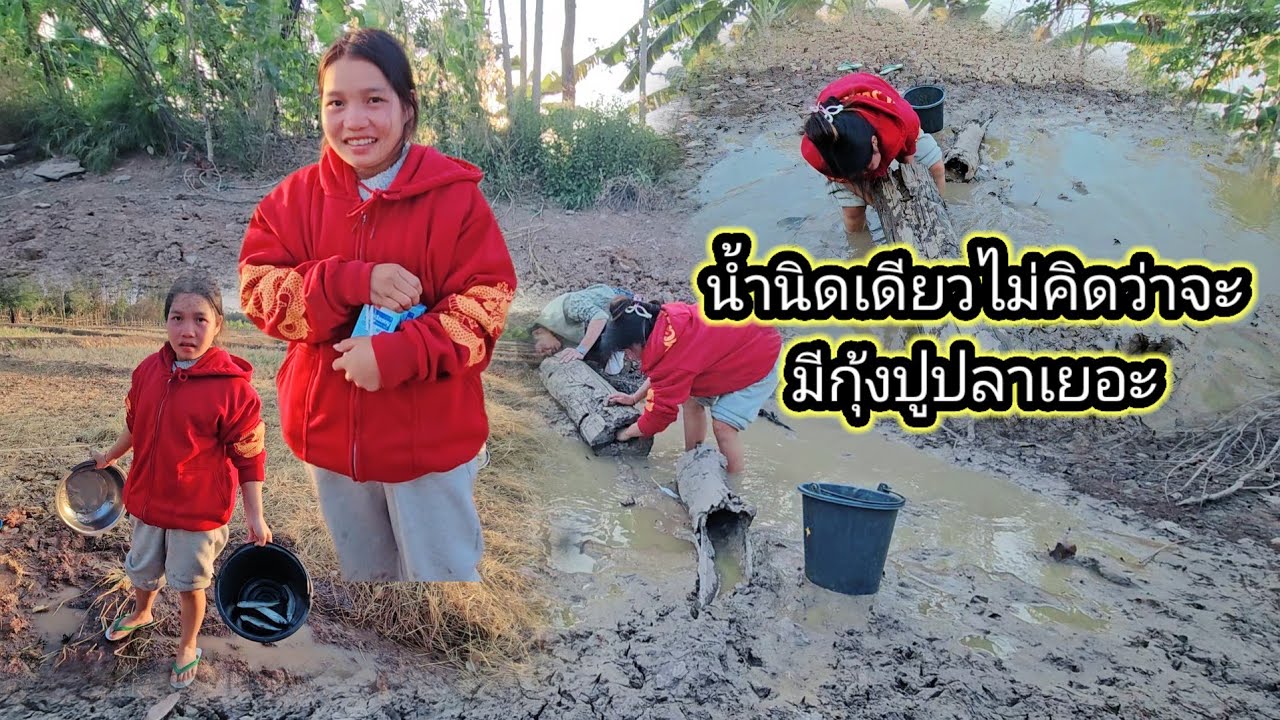 น่องน้อยหาสะปลายามแลง หมานๆ12 มกราคม ค.ศ. 2026