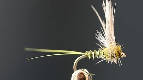 Baetis Thorax Dun -- Fly tying lesson video tutorial by Curtis Fry