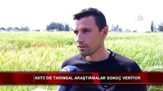 KKTC’de tarımsal araştırmalar sonuç veriyor