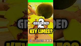 GROUNDED 2 Key Limes, What Are They Used For? #grounded2
