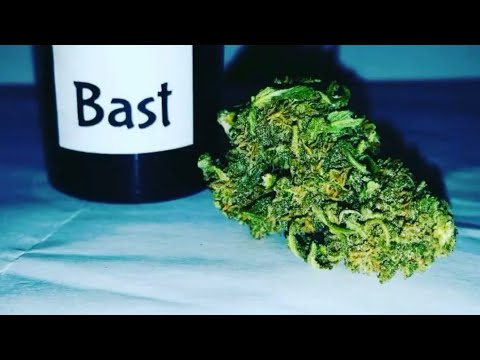 Bast from Tweedle Farms - YouTube