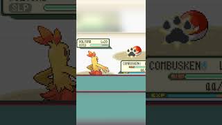 I need to seriously read typings for my Pokemon Emerald refresher | trying to get nuzlocke ready.
